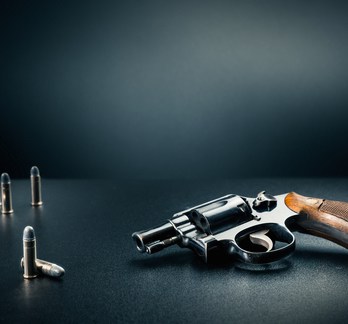 Online Handgun License Training